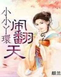 小小丫環閙繙天小说封面