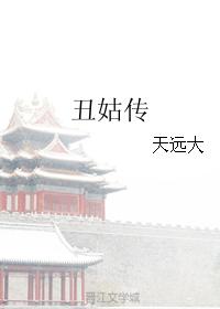 丑姑传小说封面